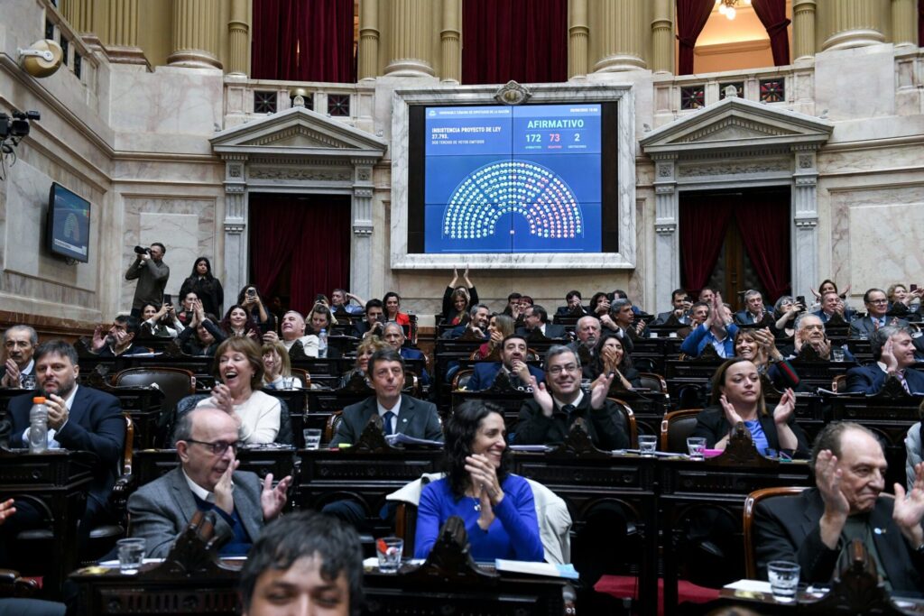 REVÉS PRESIDENCIAL | Diputados rechazó el Veto de la Ley de Emergencia en Discapacidad 3