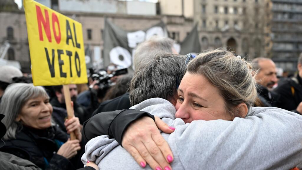 REVÉS PRESIDENCIAL | Diputados rechazó el Veto de la Ley de Emergencia en Discapacidad 2
