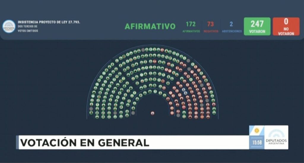 REVÉS PRESIDENCIAL | Diputados rechazó el Veto de la Ley de Emergencia en Discapacidad 4