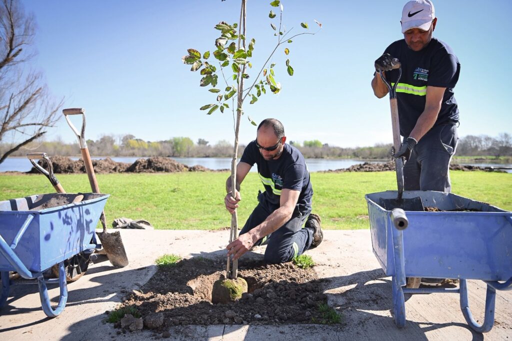 Plantación de nuevos árboles nativos en la ribera de la Laguna de San Vicente.
